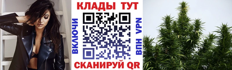 Наркошоп купить Псилоцибиновые грибы  МЕФ  Конопля  Альфа ПВП  Приволжск