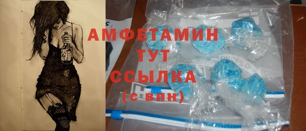 мдпв Елизово