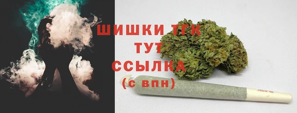 Альфа ПВП Ельня