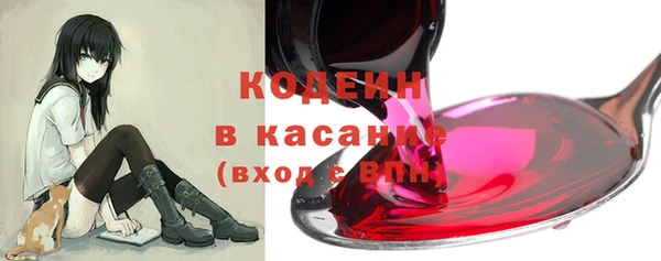 мдпв Елизово