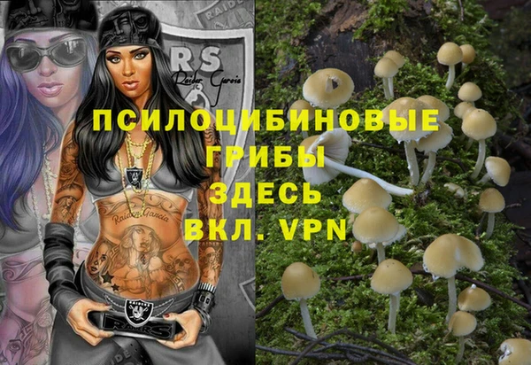 Альфа ПВП Ельня