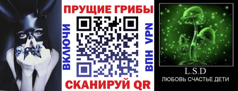 Псилоцибиновые грибы MAGIC MUSHROOMS Приволжск
